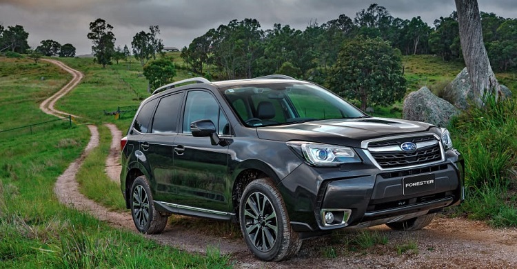 beste terreinwagen subaru forrester