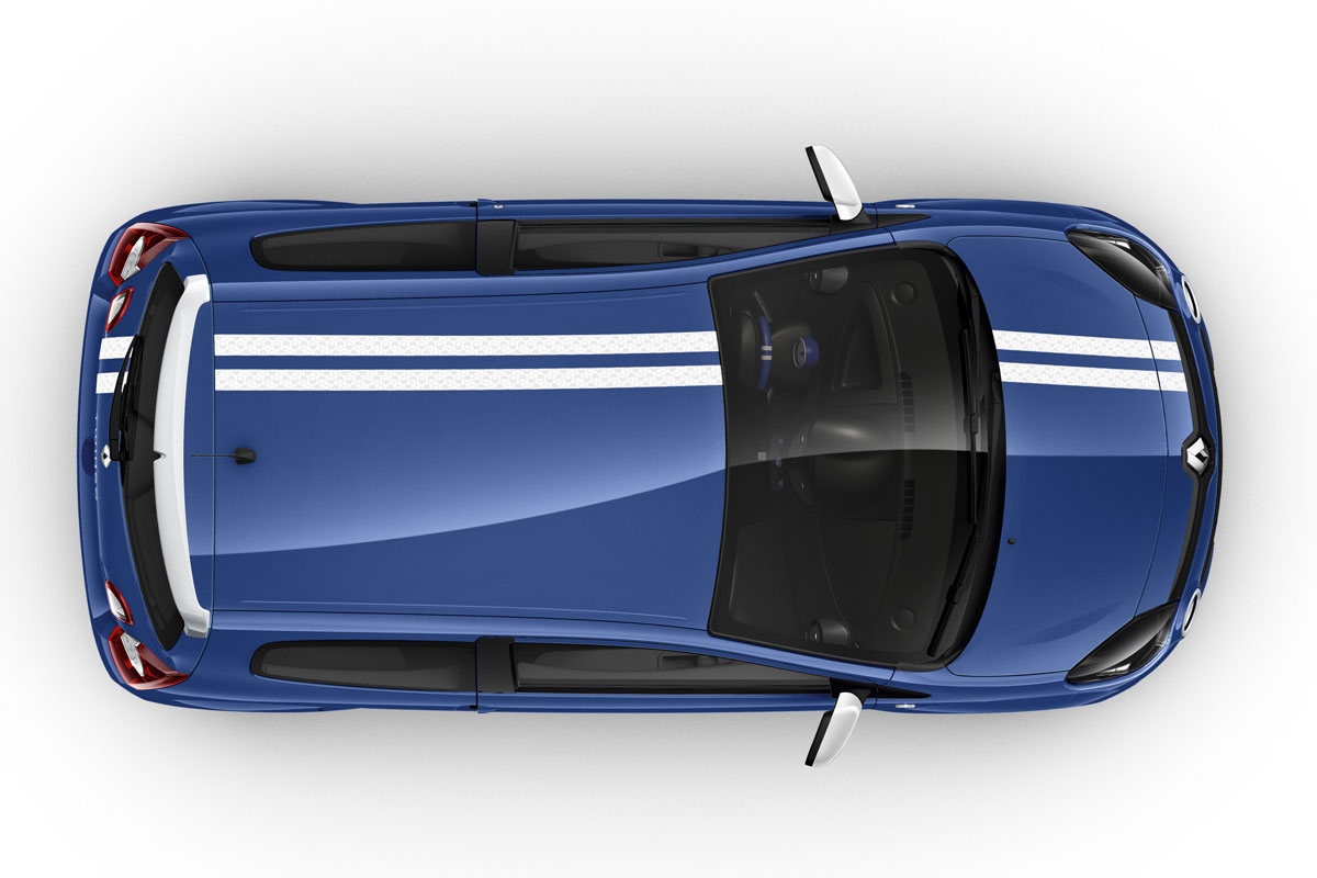 Renault Twingo Roof